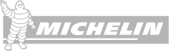 michelin Logo
